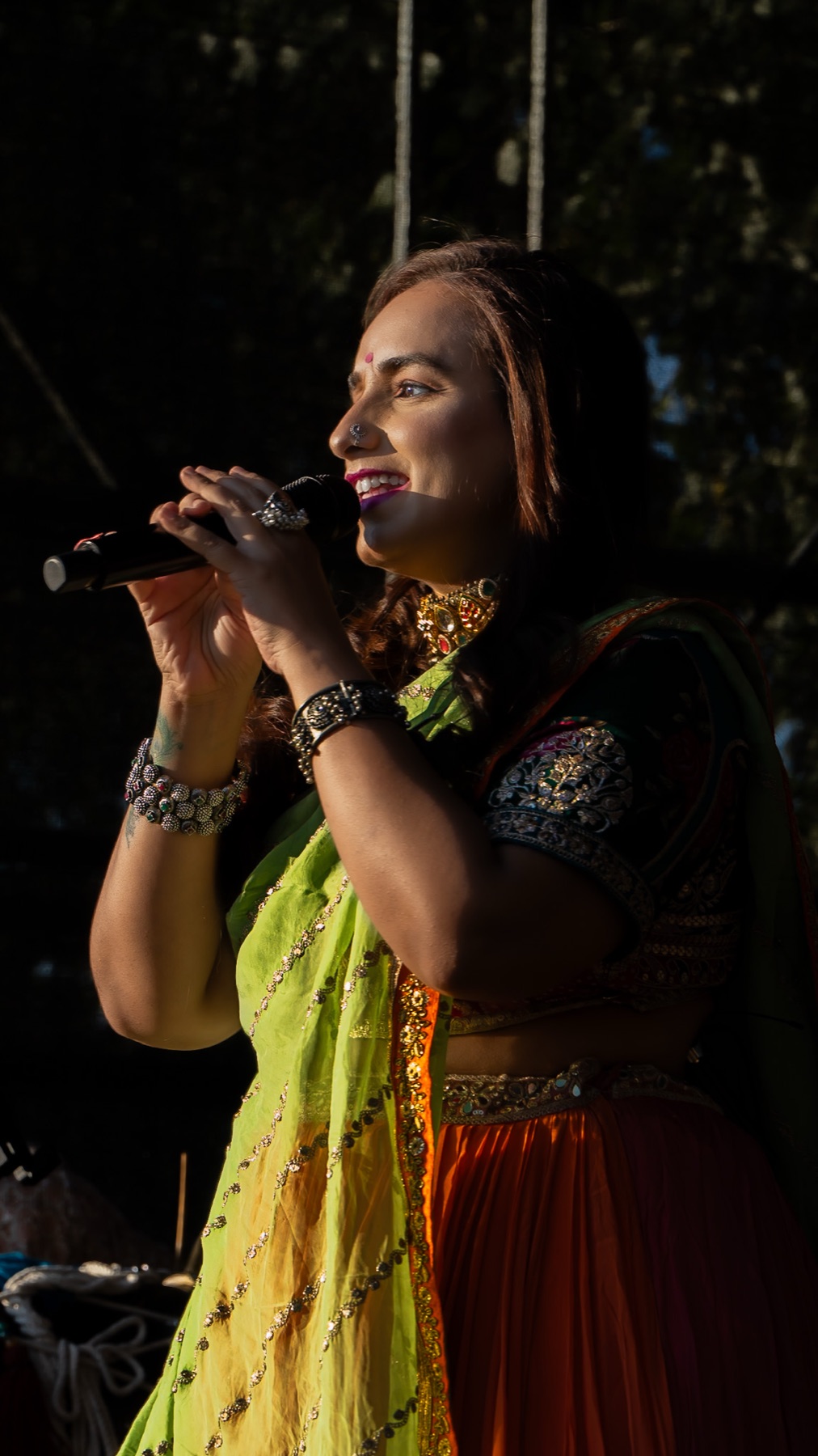 Navratri Garba Night · Berlin